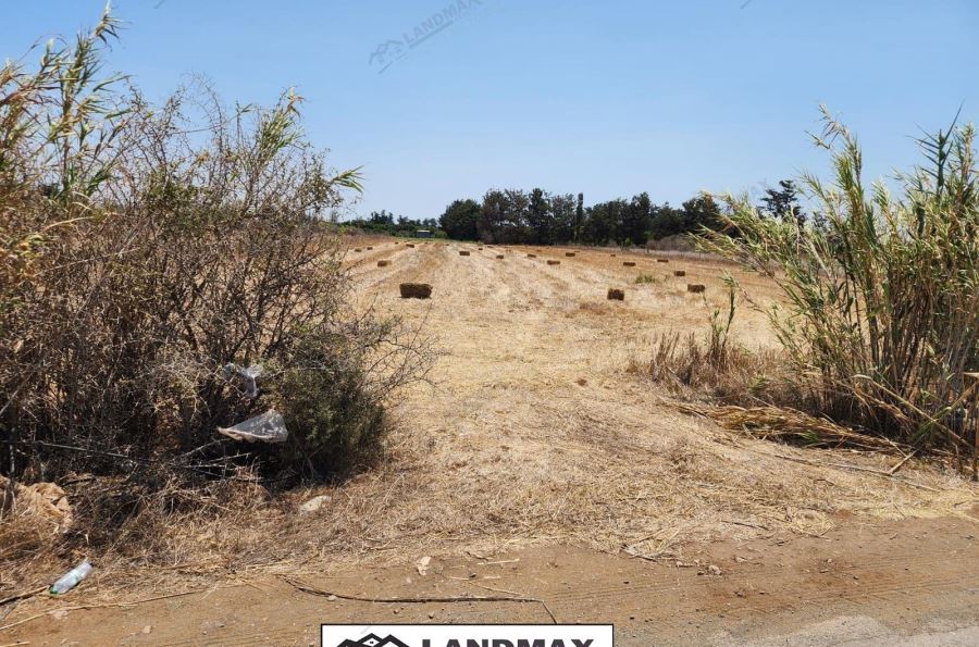 LAND FOR SALE IN GAZIVERAN LEFKE